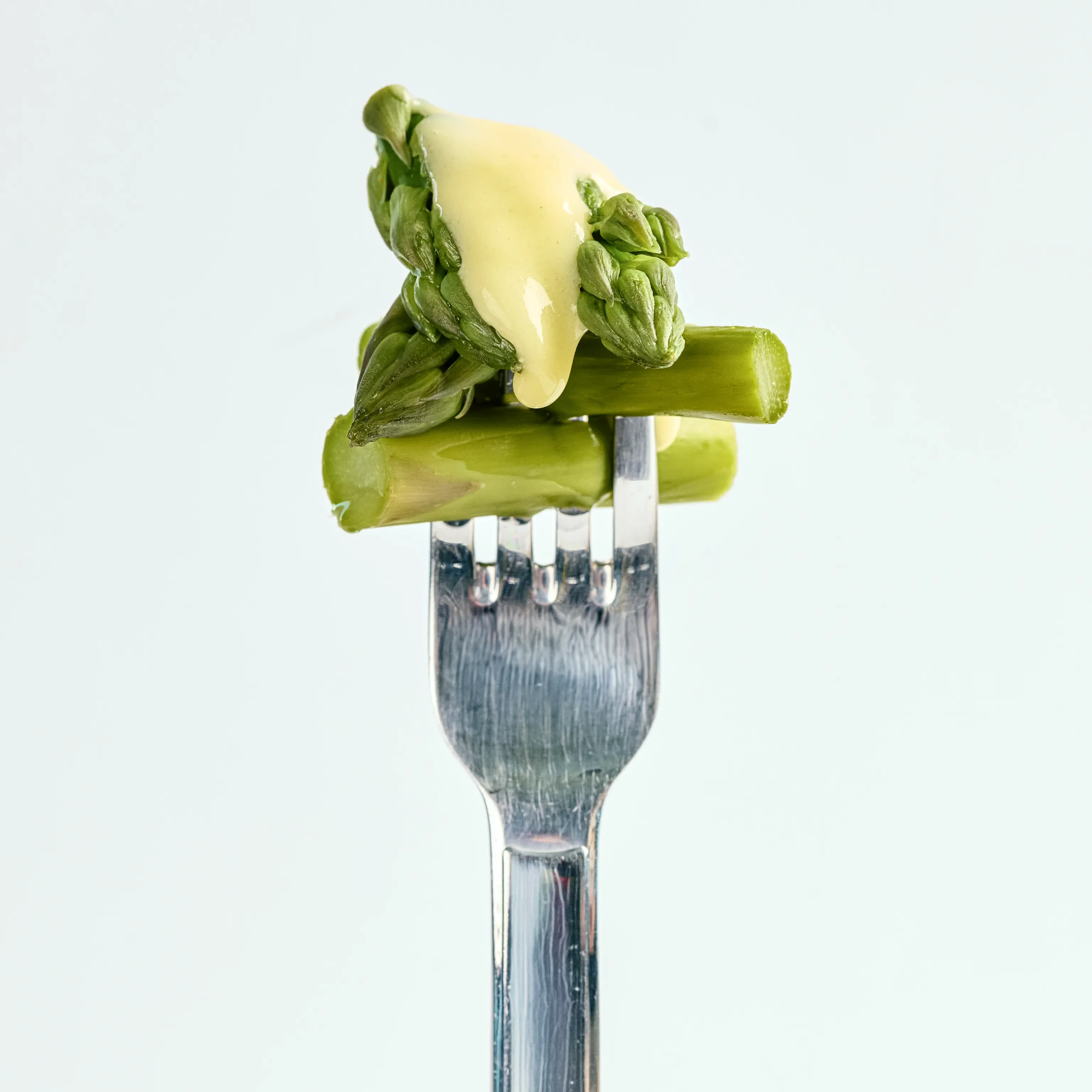 Bio Sauce Hollandaise + 10g Bella Italia - Image 4