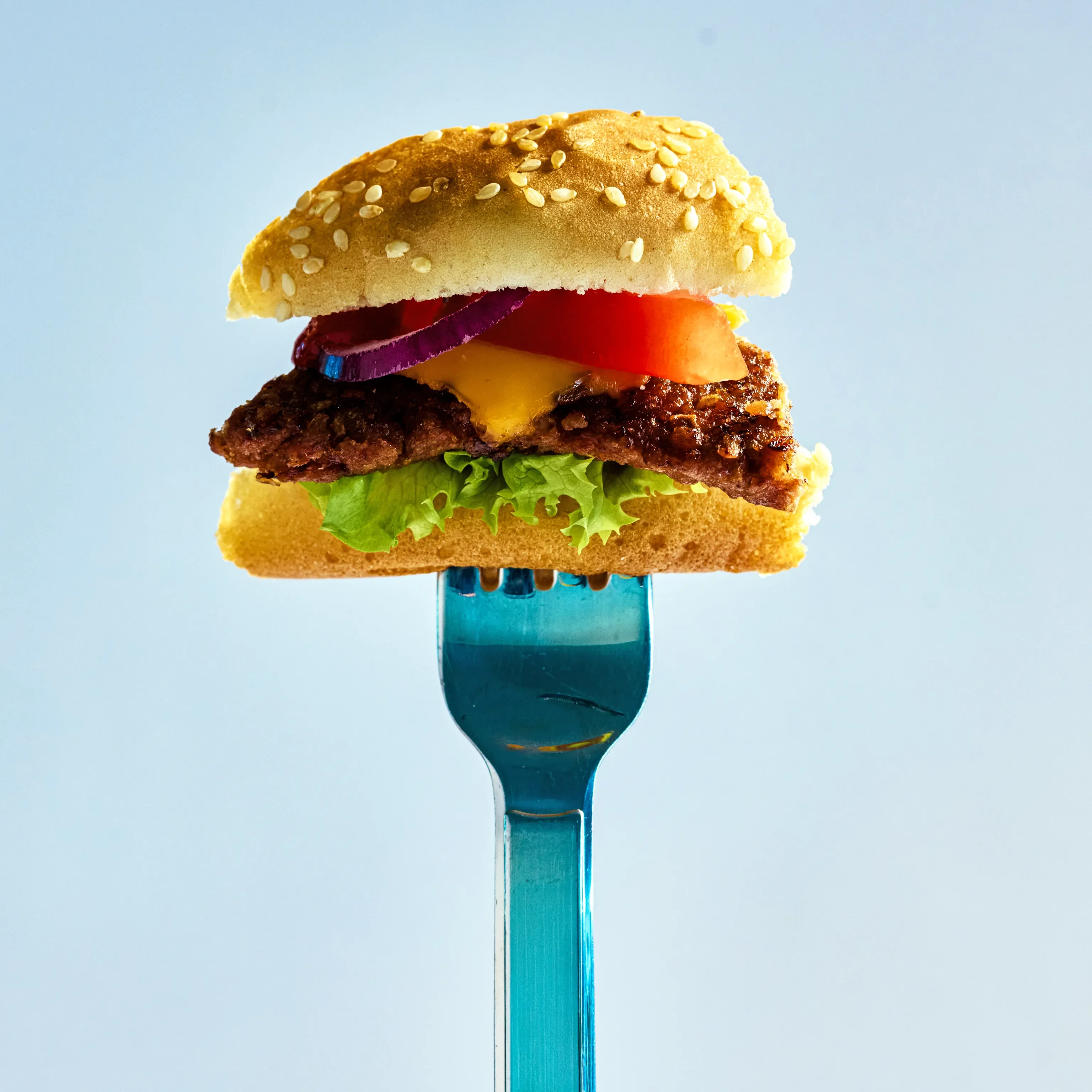 Veggie Frikadellen aus Erbsenprotein - Image 4